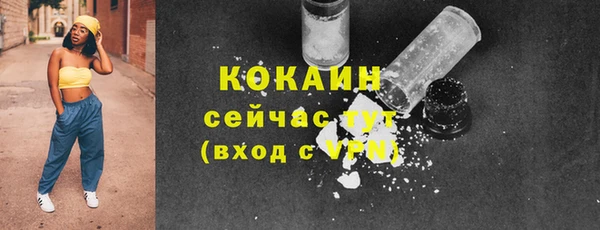 прущий лед Нея