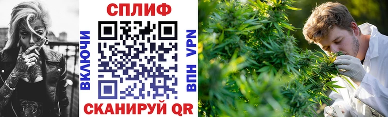 Купить  Лахденпохья  МАРИХУАНА ГИДРОПОН 